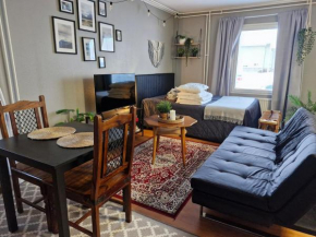 Studio with sauna near highway Kempele